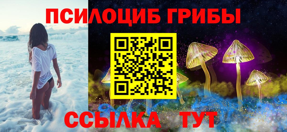 Галлюциногенные грибы Cubensis Саратов